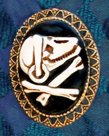 Privateer Dragons Pin 2005