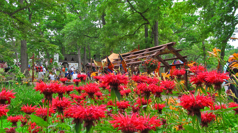 Bristol Renaissance Faire 2015