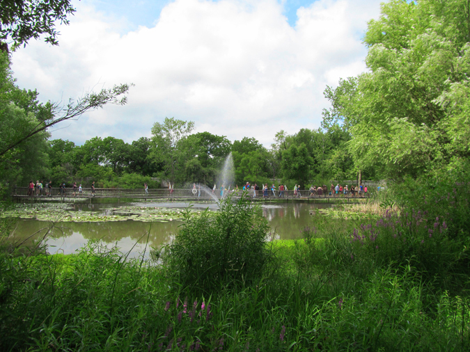 Bristol Renaissance Faire 2016
