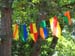 Bristol Renaissance Faire 2017