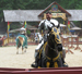 Bristol Renaissance Faire 2017