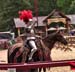 Bristol Renaissance Faire 2017