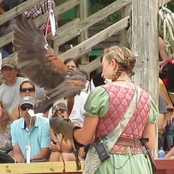 Bristol Renaissance Faire 2019